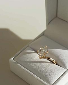 Oval Lab Grown Diamond Ring: 1.0-2.0 CT Gold Muse-Cluster Engagement Ring - Image 13
